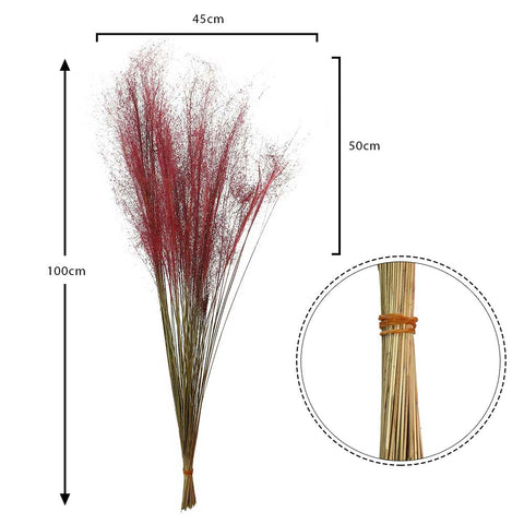 Natural Dried Grass