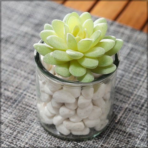 Faux bubblegum succulent plant