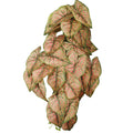 Caladium vine artificial leaves for event decorations