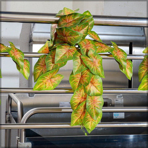 Fake caladium vine leaves for greenery displays