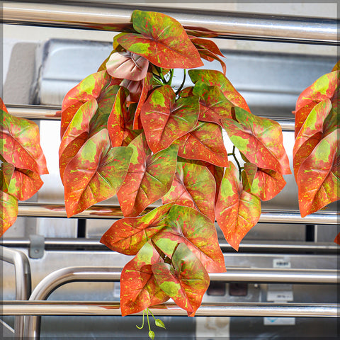 Artificial Caladiums Vine Leaves