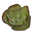 Faux succulent kalanchoe for modern spaces