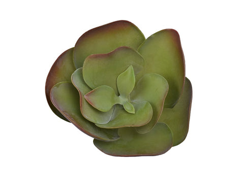 Faux succulent kalanchoe for modern spaces