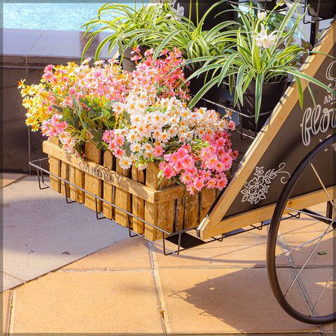 Decorative Metal Bicycle with Flower Stand