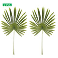 Faux fan palm tree for creating a tropical vibe indoors