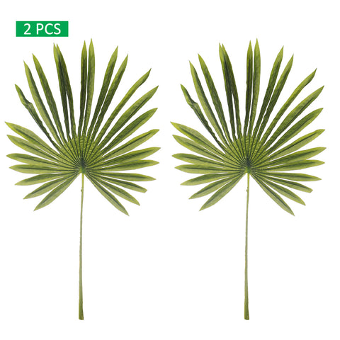 Faux fan palm tree for creating a tropical vibe indoors