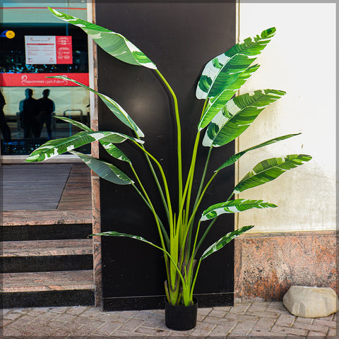 200cm artificial banana plant in a stylish living room