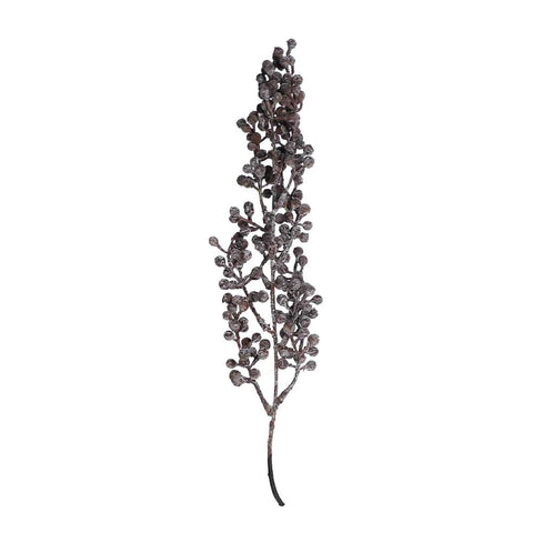 Dried Senecio String of Pearls Plants-WL009