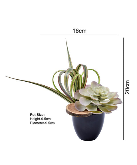 Artificial Mini Gray Succulents Plant With Wooden Slices