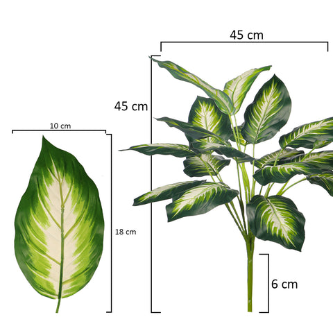 Decorative Dieffenbachia leaves