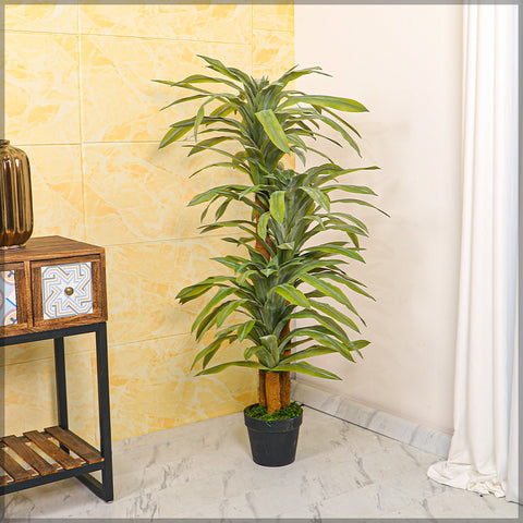 Realistic artificial lemon lime dracaena plant