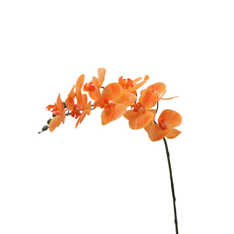 Artificial Real Touch Orchid Flowers-MST-556