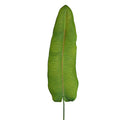 Faux banana leaf for landscaping