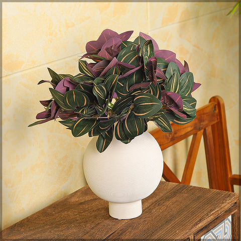 Decorative red leaf plant for vibrant indoor styling.