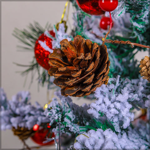 Dried Pine Cones