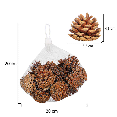 Dried Pine Cones