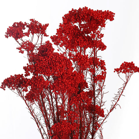 Preserved Rice Flower Bunch