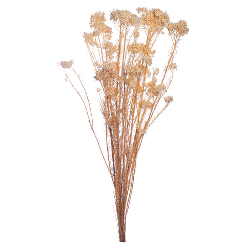 Preserved Rice Flower Bunch