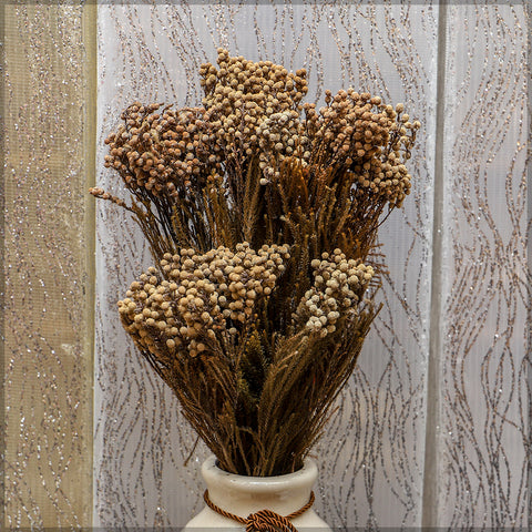 Preseved Dried Flowers