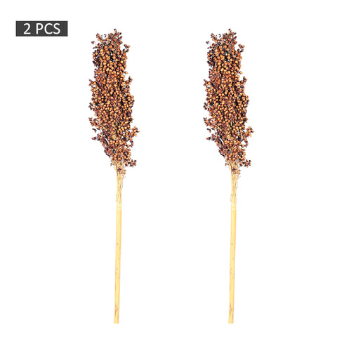 2pcs Natural Dried Sorghum Flower