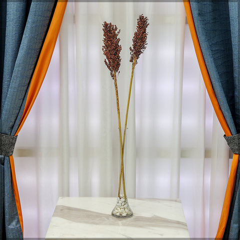 2pcs Natural Dried Sorghum Flower