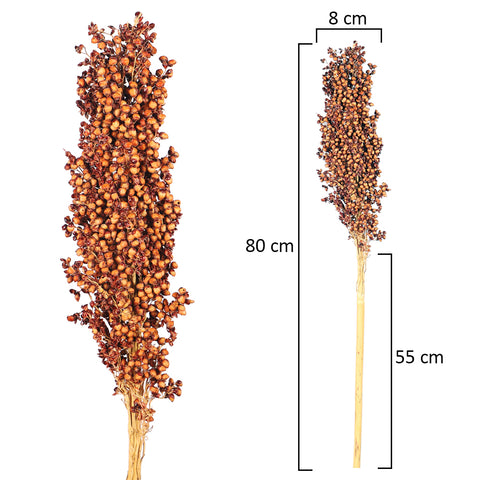 Natural Dried Sorghum Flower