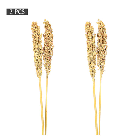 2pcs Natural Dried Sorghum Flower