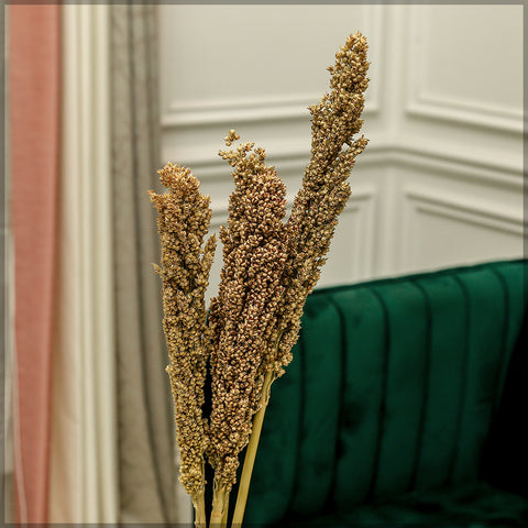 Natural Dried Sorghum Flower