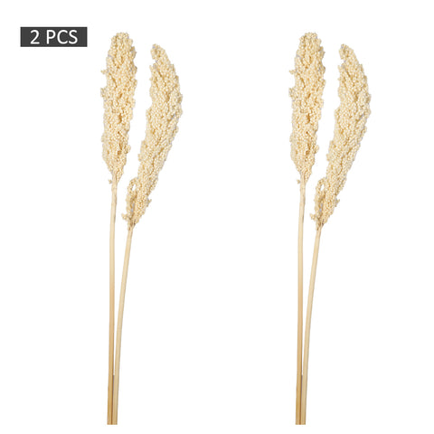 2pcs Natural Dried Sorghum Flower