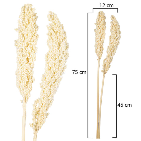 2pcs Natural Dried Sorghum Flower