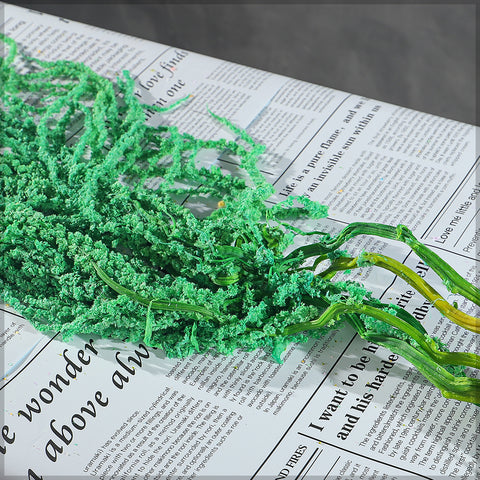 Preserved Dried Hanging Flower