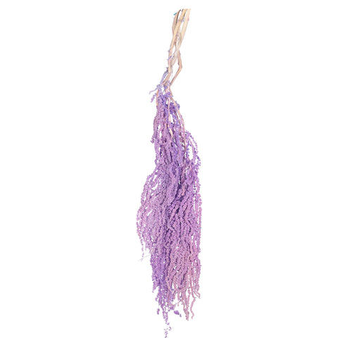 Preserved Dried Hanging Flower