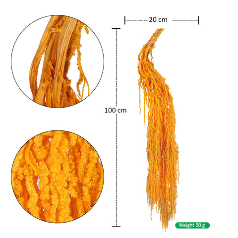 Preserved Dried Hanging Flower