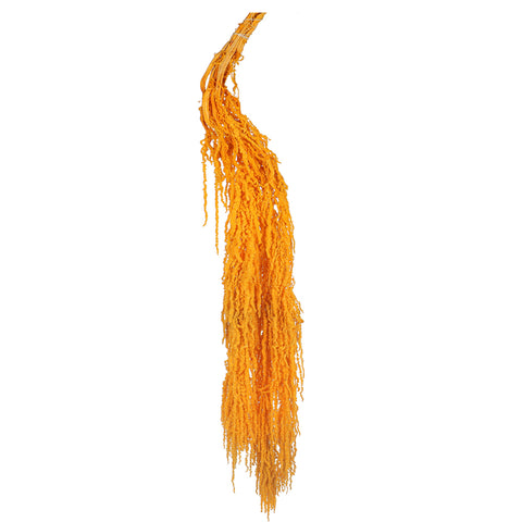 Preserved Dried Hanging Flower