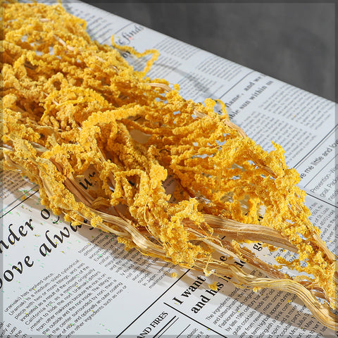 Preserved Dried Hanging Flower