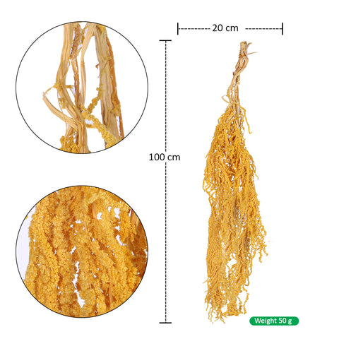 Preserved Dried Hanging Flower