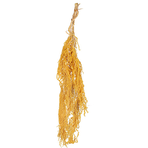 Preserved Dried Hanging Flower