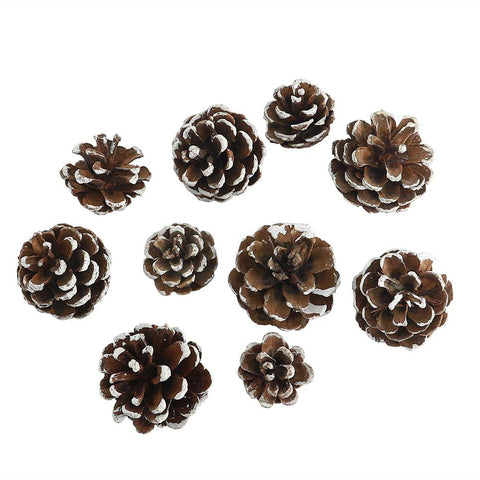 Natural Dried Pine Cones