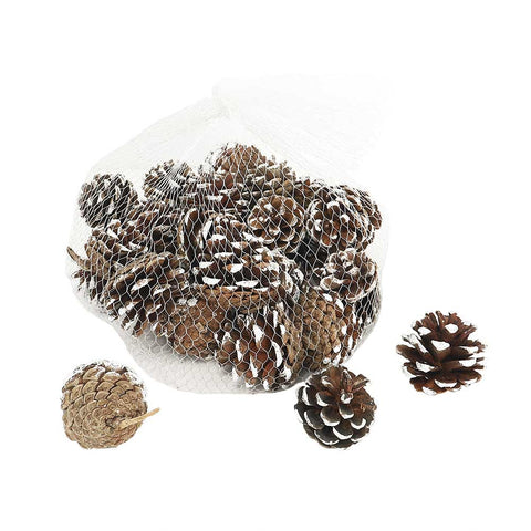 Natural Dried Pine Cones