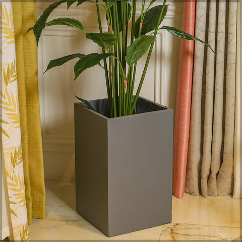 Heavy-duty concrete planters for plants