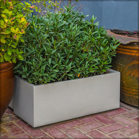 Long garden planter concrete for stylish decor