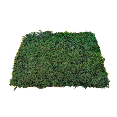 Preserved Dried Moss 30x30cm