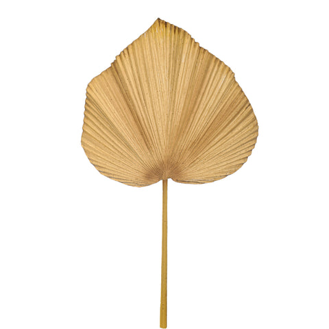 Artificial dried palm leaves for home decor