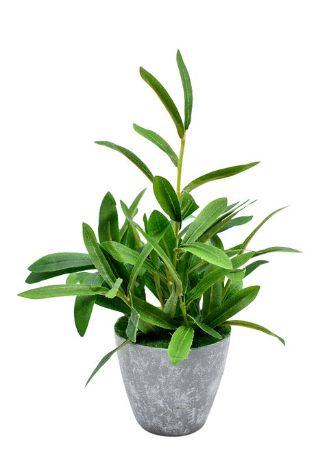 Home Decoration Artificial Olive Potted Plants