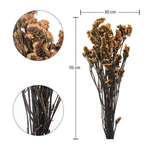 Preserved Dried Statice Sinuata Flower