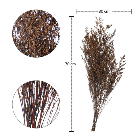 Dried German Statice Flower