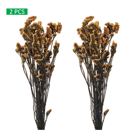 Preserved Dried Statice Sinuata Flower