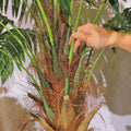 Artificial palm trio for indoor spaces adding tropical charm to a room