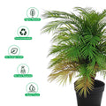 Artificial potted palm adding elegance to living spaces