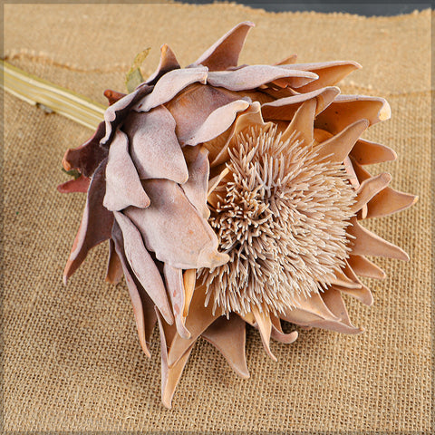 Artificial Dried Protea Flower